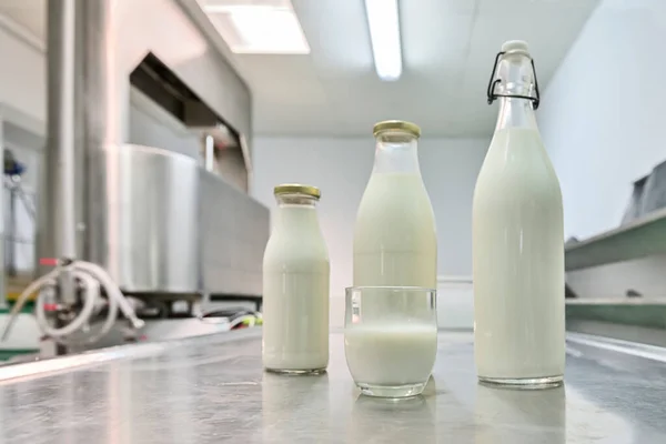 Glass of milk, among glass bottles, filled with fresh goats milk.