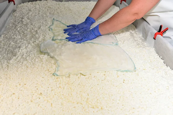 İşlem masasında, sümsük kaymak tabakasından ayrılır..