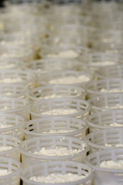 Artisan production of fresh goat's milk cheese.