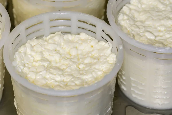 Artisan production of fresh goat\'s milk cheese.
