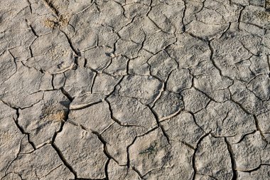 Texture of dry land in southern Europe. Global warming and greenhouse effect