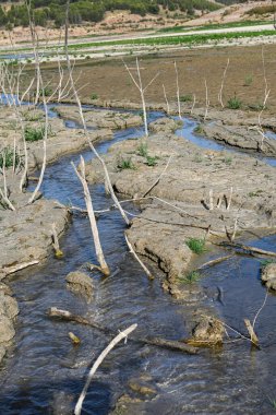 Small pool of water in a field of dry and cracked earth. Global warming and greenhouse effect
