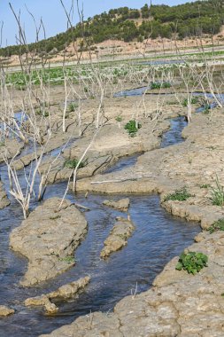 Small pool of water in a field of dry and cracked earth. Global warming and greenhouse effect