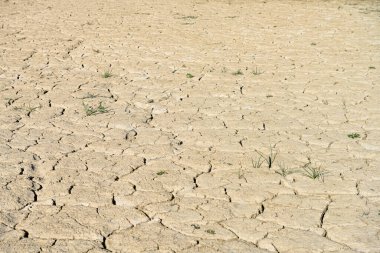 Texture of dry land in southern Europe. Global warming and greenhouse effect clipart