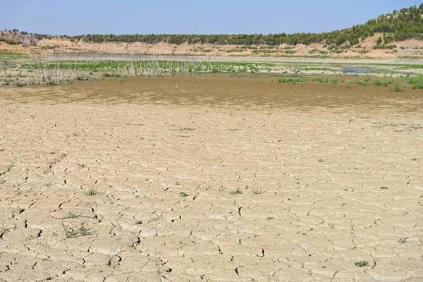 Dry Land Texture Floor Swamp Global Warming Greenhouse Effect — Stockfoto