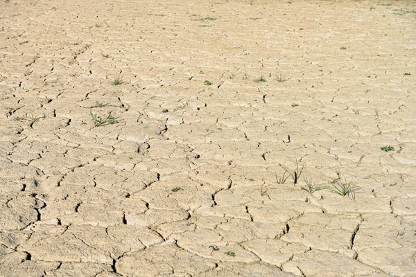 Texture Dry Land Southern Europe Global Warming Greenhouse Effect ロイヤリティフリーのストック写真