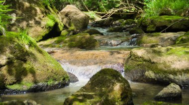 Primorskiy Kray 'de küçük bir nehir, Rusya