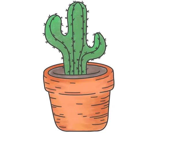 Cserepes Kaktusz Virág Illusztráció — Stock Fotó