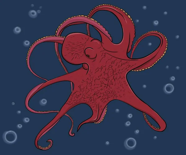 Octopus Underwater Inhabitant Ocean Sea Fish — Stock Photo, Image