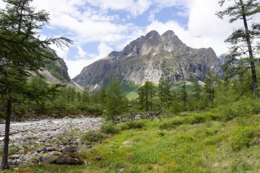 Orta Sakukan nehrinin güzel vadisi Kodar dağ sırasının arka planına karşı. Trans-Baykal Bölgesi, Kodar Ulusal Parkı. 