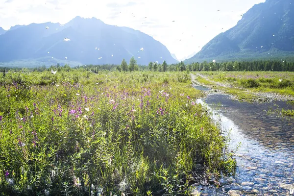 Hermoso Valle Del Río Sakukan Medio Sobre Telón Fondo Cordillera — Foto de Stock