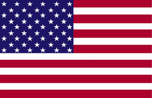 Bild Flaggan Usa Symbol För Landet Och Dess Folk — Stock vektor