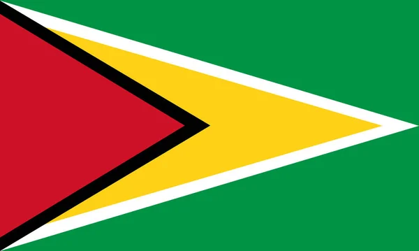 Bild Der Flagge Von Guyana Einem Symbol Des Landes Und — Stockvektor