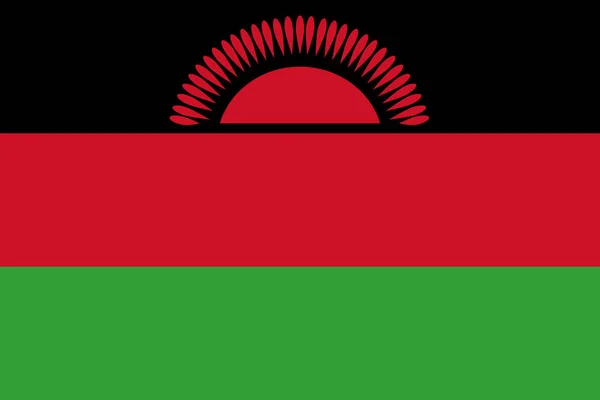 Imagem Bandeira Malawi Símbolo País Seu Povo —  Vetores de Stock