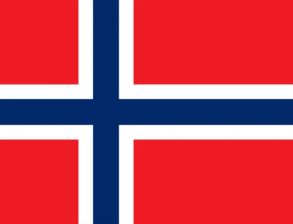 Imagen Bandera Noruega Símbolo Del País Gente — Vector de stock