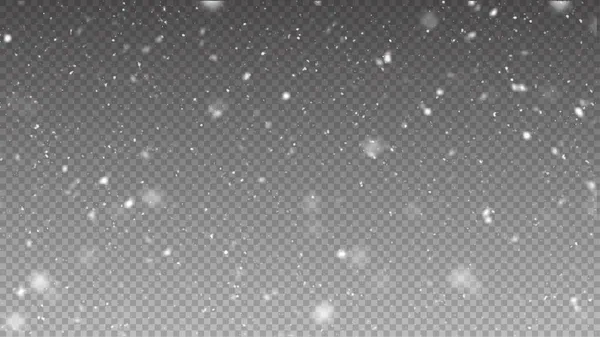 Vektör karı izole edildi. Kar yağışıweather condition