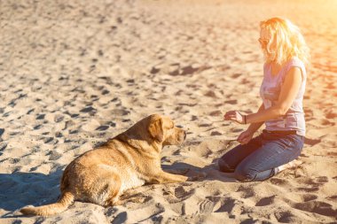 Golden Retriever köpeğiyle kumsalda oturan güneş gözlüklü güzel bir kadının portresi. Deniz kıyısında köpekli bir kız. Güneş parlaması