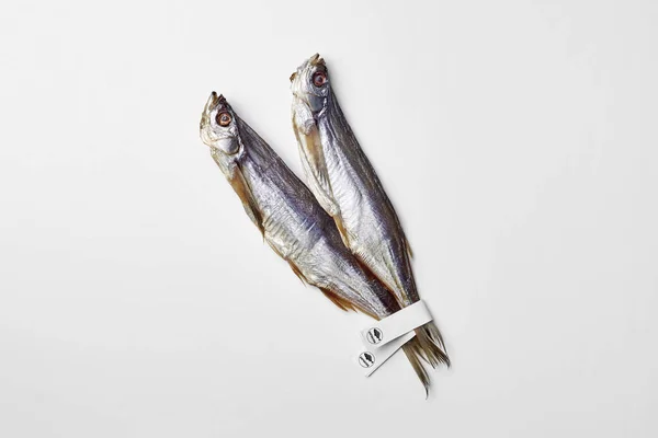 Zwei gesalzene, luftgetrocknete Sabrefish mit Papieretiketten auf Schwänzen isoliert auf weiß — Stockfoto