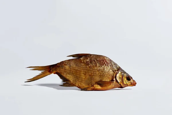 Целый золотой лещ лежал на белом фоне. Традиционно сохранившаяся рыба. Популярная закуска — стоковое фото
