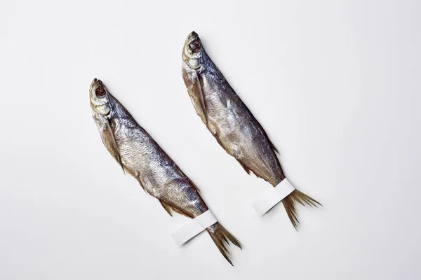 Zwei gesalzene, sonnengetrocknete Säbelfische mit Papieretiketten auf weißem Hintergrund — Stockfoto