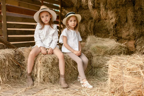 Dos hermanas preadolescentes sentadas juntas en el pajar en el pajar en el día de verano — Foto de Stock