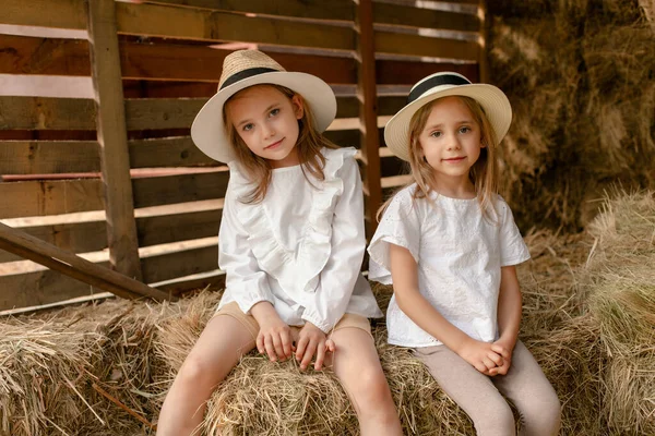 Twee lachende kleine meisjes zitten op hooiberg op zomerdag — Stockfoto
