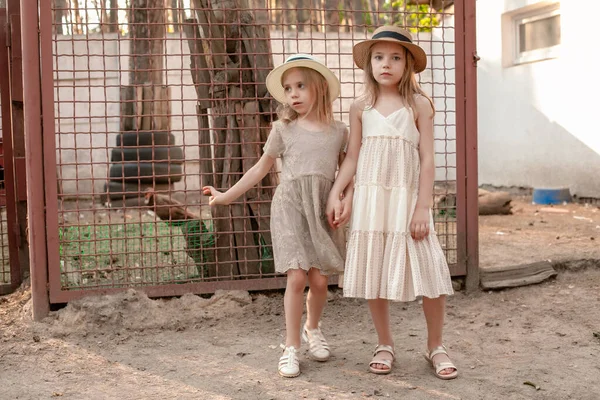 Twee vriendelijke zusters die elkaars hand vasthouden en bij de pluimveeslachterij op de binnenplaats staan — Stockfoto