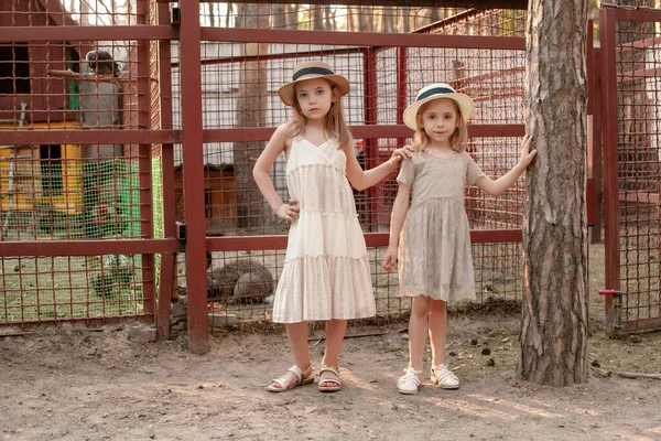 Dos niñas preadolescentes de pie cerca de jaulas con animales domésticos y aves en la finca del país — Foto de Stock