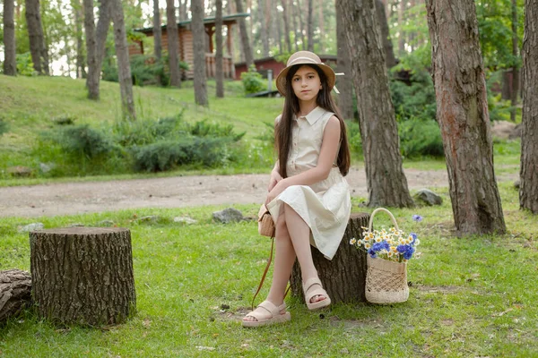 Темноволосая девочка, сидящая на деревянном пне во время летней прогулки в парке — стоковое фото