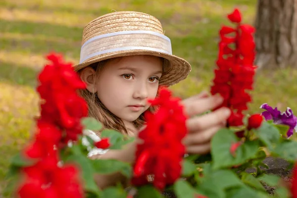 Cute brown-eyes preteen girl admiring blooming red flowers in summer park — стоковое фото