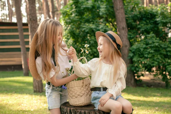 Twee vrolijke tieners zitten op stomp en snuiven madeliefjes in het zomerpark — Stockfoto