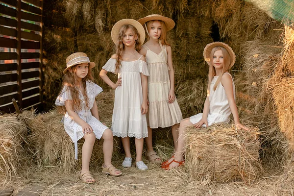 Groep van twee meisjes poseren samen in hooizolder tijdens de zomervakantie — Stockfoto