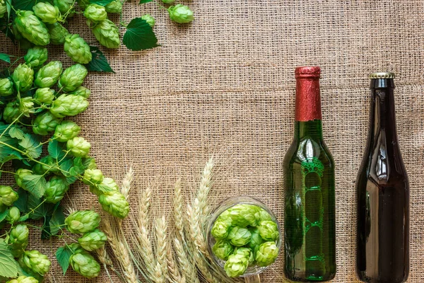 Verde fresco lúpulo con trigo y dos botellas de cerveza como área de texto de marco de espacio de copia sobre fondo de saco — Foto de Stock