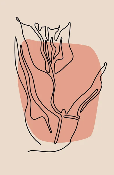 Enkele ononderbroken lijn tekening uit de vrije hand van tulp op pastelachtergrond — Stockfoto