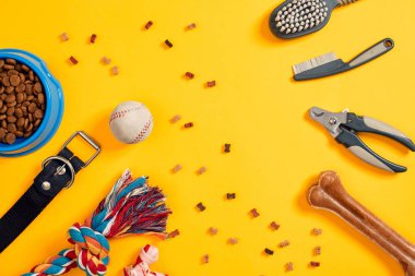 Sarı arka plan üstünde belgili tanımlık köpek damat için aksesuarlar. Tarak ve köpekler için fırçalar. Üstten Görünüm. Natürmort. Uzay kopyalayın. Düz yatıyordu