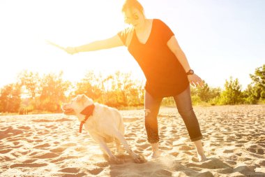 Golden Retriever köpeğiyle kumsalda oturan güneş gözlüklü güzel bir kadının portresi. Deniz kıyısında köpekli bir kız. Güneş parlaması