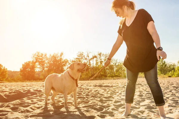 Golden Retriever köpeğiyle kumsalda oturan güneş gözlüklü güzel bir kadının portresi. Deniz kıyısında köpekli bir kız. Güneş parlaması