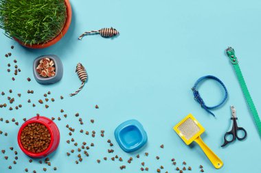 Kedi için aksesuarlı düz bir kompozisyon, örneğin yüksek kaliteli kuru yiyecekler etrafa saçılmış su, fareler gibi komik oyuncaklar, yeşil çimenler, sarı fırça, tasma ve pençe makası gibi.