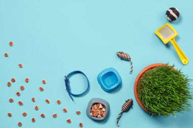 Kedi için aksesuarlarla bezenmiş düz bir kompozisyon, örneğin kuru yiyecek etrafa saçılmış su, fareler ve top gibi ilginç oyuncaklar, yeşil çimenler, mavi arka planda sarı fırça ve tasma