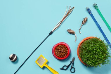 Kedi için aksesuarlı düz kompozisyon, kaliteli kuru yiyecek, fare ve top gibi komik oyuncaklar, yeşil çimen, sarı fırça, renkli tasmalar, teaser ve mavi arka planda pençe makasları gibi.