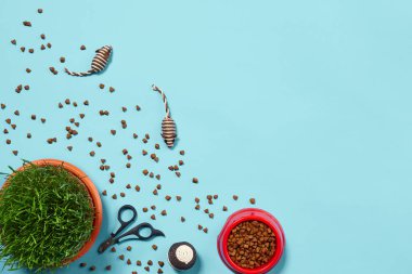 Kedi için aksesuar, fare ve top gibi oyuncaklar, mavi arka planda yeşil çimen ve pençe makası gibi aksesuarlarla bezenmiş düz bir kompozisyon. Hayvan bakımı ve beslenme konsepti. Uzayı kopyala Üst görünüm.