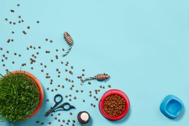 Kedi için aksesuarları olan düz bir kompozisyon, örneğin kuru yiyecek ve su, fare ve top olarak oyuncaklar, mavi arka planda yeşil çimen ve pençe makası. Hayvan bakımı ve beslenme konsepti. Anlaşıldı.