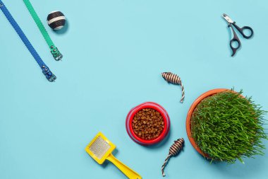 Lezzetli kuru yiyecekler, fare ve top gibi komik oyuncaklar, yeşil çimenler, sarı fırça, renkli tasmalar ve mavi arka planda pençe makası gibi aksesuarları olan düz bir kompozisyon. Hayvan bakımı