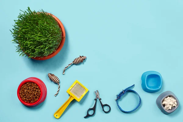 Flat Lay Composition Accessories Cat Tasty Dry Food Water Bowl — Stock Photo, Image