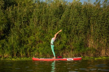 Genç kadın kürek kurulu Sup bir güzel göl veya nehir üzerinde ayağa yoga yapıyorsun. Sağlıklı bir yaşam tarzı kavramı. Spor. Yoga. Hobi