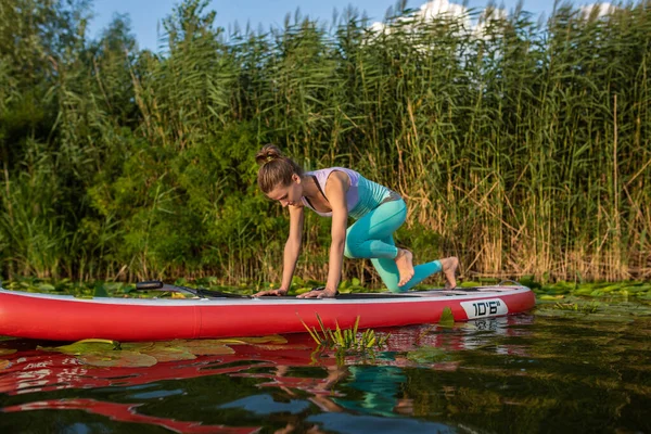 Photo Young Woman Doing Hand Stand Stand Paddle Board She — Zdjęcie stockowe