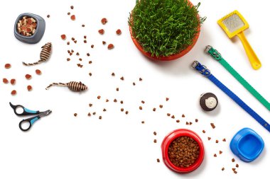 Flat lay composition with accessories for a cat, such as tasty dry food and water in a bowls, ball, brush, claw clippers, leashes and green grass isolated on white background. Pet care and feeding