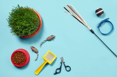Flat lay composition with accessories for a cat, such as fresh dry food in a bowl, funny toys as mouses and ball, teaser, green grass, yellow brush, claw clippers and collar on a blue background. Pet
