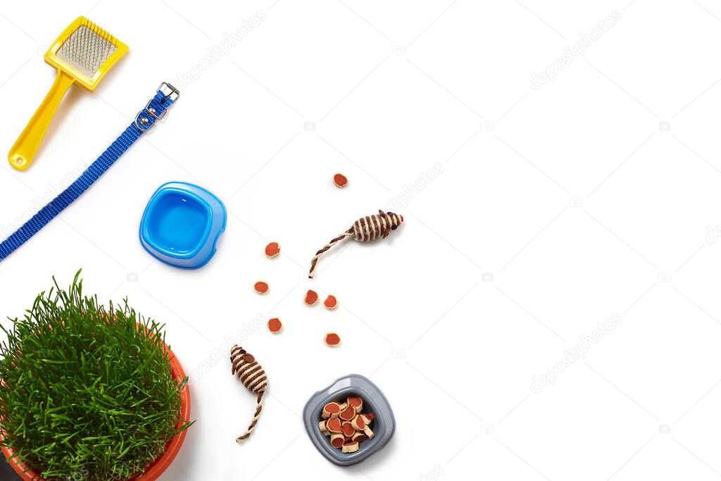Flat lay composition with accessories for a cat, such as high quality dry food and water in a bowls, funny toys as mouses, yellow brush, leash and green grass isolated on white background. Pet care