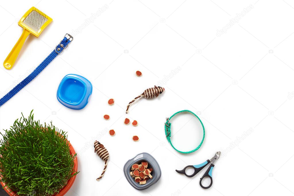 Flat lay composition with accessories for a cat, such as delicious dry food and water in a bowls, nice toys as mouses, yellow brush, claw clippers, leash, green grass and collar isolated on white